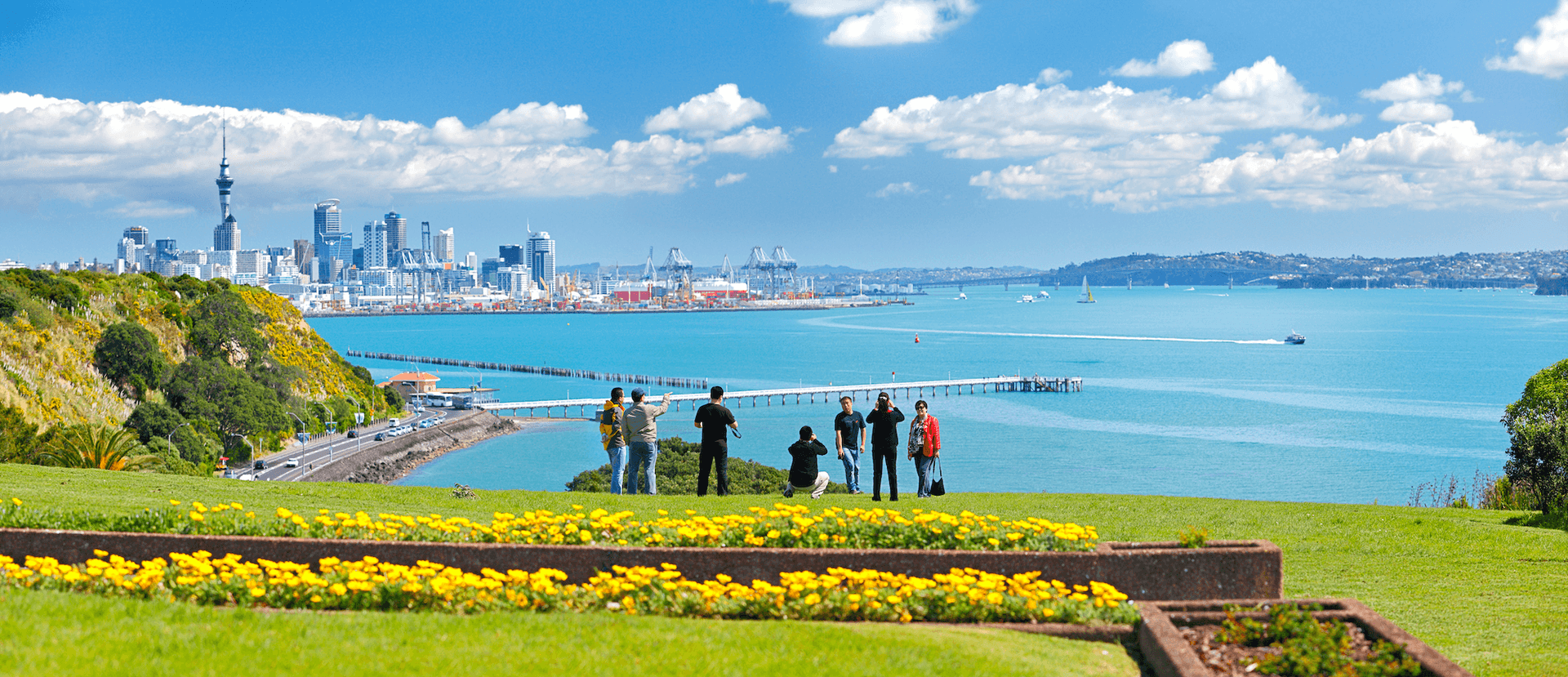 Visitors photographing the Auckland skyline and harbour from a grassy hillside, yellow flowers in the foreground